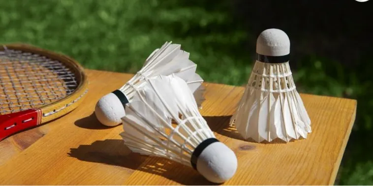 Bật Mí Cách Chơi Cá Cược Cầu Lông Tại 69VN Từ A Đến Z