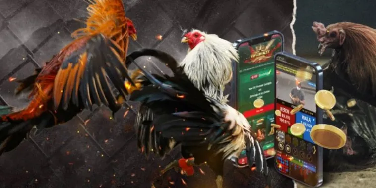 Toàn Tập Cách Chơi Đá Gà GA28 Tại 69VN Cho Người Mới Bắt Đầu