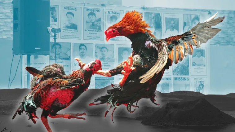 Chinh Phục Cách Chơi Đá Gà Sabong Tại 69VN Như Một Kê Thủ