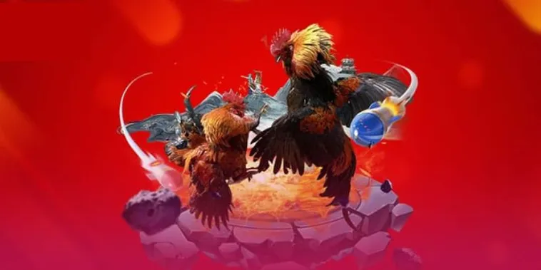 Đá Gà 69VN Trực Tiếp Từ Các Sới Gà Đẳng Cấp