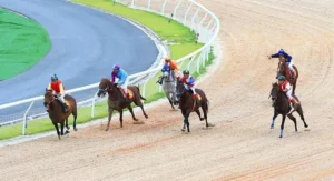 Bí Quyết Soi Kèo Cá Cược Đua Ngựa 69VN Từ Trường Đua